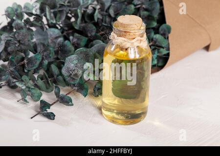 Eucalyptus - Eucalyptus Oil Plant With Many Medicinal Properties Stock Photo
