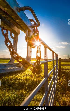 Padlocked metal gate with the sunlight bursting through. Stock Photo