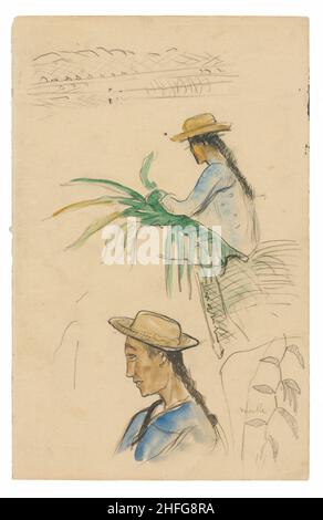 Sketches of Figures, Pandanus Leaf, and Vanilla Plant, 1891/93. Stock Photo