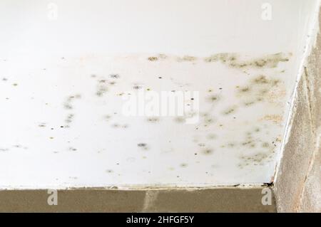 Damage caused by water leakage on a wall and ceiling at basement Stock Photo