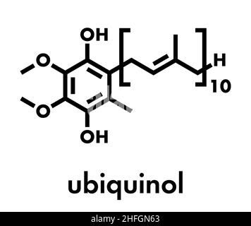 Ubiquinol molecule. Reduced form of coenzyme Q10. Skeletal formula. Stock Vector