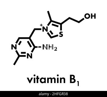 Vitamin B1 (thiamine) molecule. Skeletal formula. Stock Vector