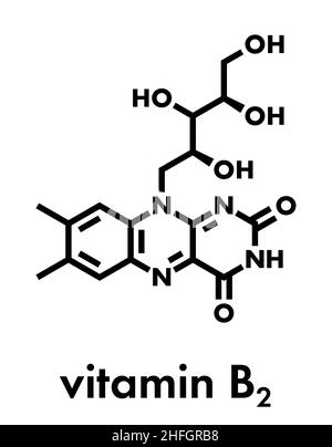 Vitamin B2 (riboflavin) molecule. Skeletal formula. Stock Vector