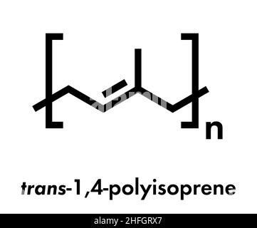 Trans-1,4-polyisoprene polymer, chemical structure. Main component of gutta-percha. Skeletal formula. Stock Vector