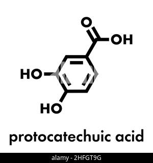 Protocatechuic acid (PCA) green tea antioxidant molecule. Skeletal formula. Stock Vector