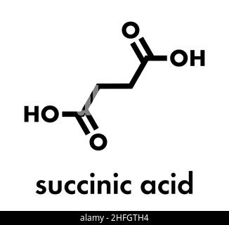 Succinic acid (butanedioic acid, spirit of amber) molecule. Intermediate of citric acid cycle. Salts and esters known as succinates. Skeletal formula. Stock Vector