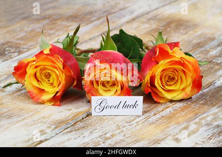 Good luck card with three colorful roses sprinkled with glitter on rustic wooden surface Stock Photo