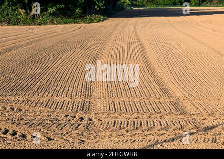 freshly plowed field in autumn with marks of tire Stock Photo