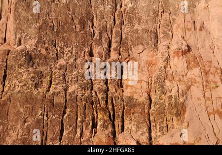 Alter do Chão,Pará,Brasil.Detail of the cliff wall on the banks of the Tapajós River, in the northern region of Brazil. Stock Photo
