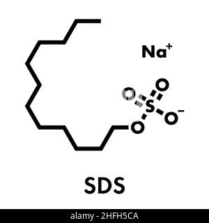 Sodium dodecyl sulfate (SDS, sodium lauryl sulfate) surfactant molecule. Commonly used in cleaning products. Skeletal formula. Stock Vector