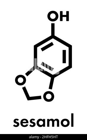 Sesamol herbal molecule. Present in sesame oil. Skeletal formula Stock ...