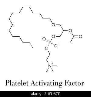 Platelet Activating Factor (PAF) signaling molecule. Skeletal formula. Stock Vector