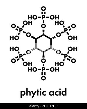 Phytic acid (hexakisphosphate, IP6, phytate) molecule. Present in seeds and grains of many plants, acting as storage form of phosphorus. Skeletal form Stock Vector