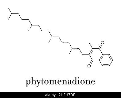 Vitamin K (K1, phylloquinone, phytomenadione) molecule. Skeletal formula. Stock Vector