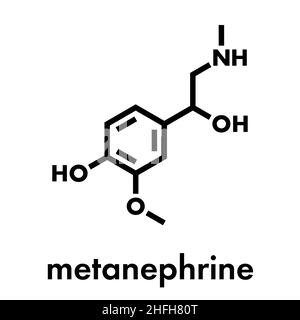 Metanephrine (metadrenaline) molecule. Metabolite of epinephrine that is biomarker for pheochromocytoma. Skeletal formula. Stock Vector