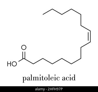 Palmitoleic acid (omega-7) fatty acid molecule. Skeletal formula. Stock Vector