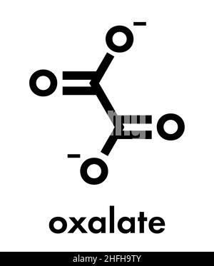 Oxalate Anion, Chemical Structure. Oxalate Salts Can Form Kidney Stones ...