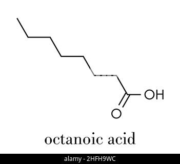 Caprylic (octanoic) acid molecule. Common saturated medium-chain fatty acid. Skeletal formula. Stock Vector