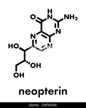 Neopterin biomarker molecule. Skeletal formula. Stock Vector