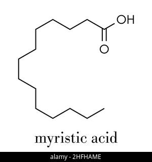 Myristic (tetradecanoic) acid saturated fatty acid molecule. Skeletal formula. Stock Vector