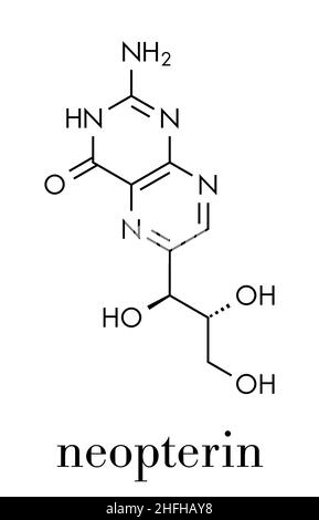 Neopterin biomarker molecule. Skeletal formula. Stock Vector