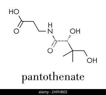 Vitamin B5 (pantothenic acid, pantothenate) molecule. Skeletal formula. Stock Vector