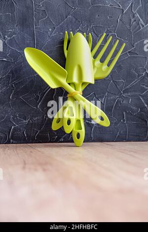 A set of garden tools light green on a black and wooden background. Gardening, spring planting, agriculture and hobbies. Plastic mini shovel, rake Stock Photo