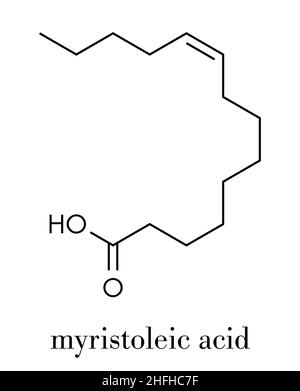 Myristoleic acid omega 5 fatty acid molecule. Skeletal formula