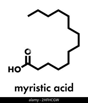 Myristic (tetradecanoic) acid saturated fatty acid molecule. Skeletal formula. Stock Vector