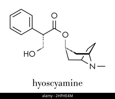 Hyoscyamine alkaloid molecule. Herbal sources include henbane, mandrake, jimsonweed, deadly nightshade and tomato. Skeletal formula. Stock Vector