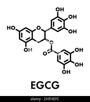 Epigallocatechin gallate (EGCG) green tea polyphenol molecule. Has ...