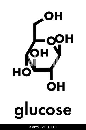 Glucose (dextrose, grape sugar) molecule (beta-D-glucopyranose form). Skeletal formula. Stock Vector