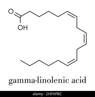 Gamma-linolenic acid (GLA, gamolenic acid) molecule. Omega-6 fatty acid present in many vegetable oils, including evening primrose, chia, hemp and bor Stock Vector