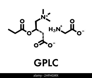 gplc l carnitine GPLC (glycine propionyl-L-carnitine) nutritional supplement molecule.  Skeletal formula Stock Vector Image & Art