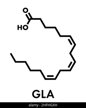 Gamma-linolenic acid (GLA, gamolenic acid) molecule. Omega-6 fatty acid present in many vegetable oils, including evening primrose, chia, hemp and bor Stock Vector