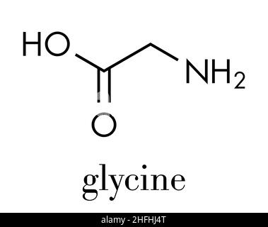 Glycine (Gly, G) amino acid molecule. Skeletal formula. Stock Vector