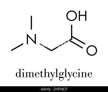 Dimethylglycine (DMG) molecule. Methylated derivative of glycine, used in performance enhancing nutritional supplements. Skeletal formula. Stock Vector