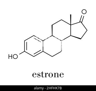 Estrone (oestrone) human estrogen hormone molecule. Skeletal formula. Stock Vector