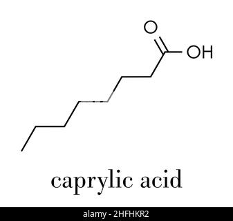 Caprylic (octanoic) acid molecule. Common saturated medium-chain fatty acid. Skeletal formula. Stock Vector