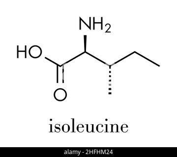 Isoleucine (L-isoleucine, Ile, I) amino acid molecule. Skeletal formula. Stock Vector