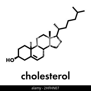 Cholesterol molecular structure. Cholesterol is a lipid and essential ...