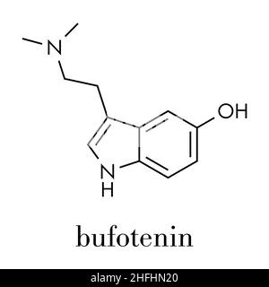 Bufotenin molecule. Tryptamine present in several psychedelic toads. Skeletal formula. Stock Vector