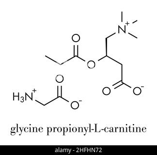 GPLC (glycine propionyl-L-carnitine) nutritional supplement molecule.  Skeletal formula Stock Vector Image & Art - Alamy
