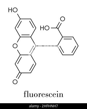 Fluorescein fluorescent molecule. Skeletal formula. Stock Vector