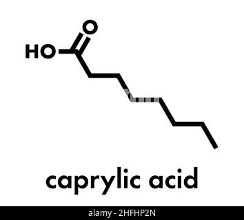 Caprylic (octanoic) acid molecule. Common saturated medium-chain fatty acid. Skeletal formula. Stock Vector