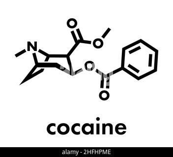 Cocaine stimulant drug molecule. Used as salt or as free base (crack, freebase). Skeletal formula. Stock Vector