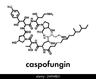Caspofungin antifungal drug molecule. Skeletal formula. Stock Vector