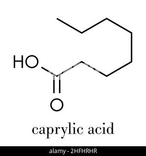 Caprylic (octanoic) acid molecule. Common saturated medium-chain fatty acid. Skeletal formula. Stock Vector