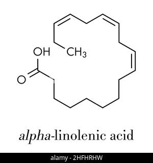 Alpha-linolenic acid (ALA) molecule. Essential polyunsaturated omega-3 fatty acid, present in many vegetable oils. Skeletal formula. Stock Vector