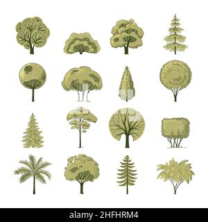 Flat forest trees camping elements for landscape design. Different trees in side view.  Stock Vector